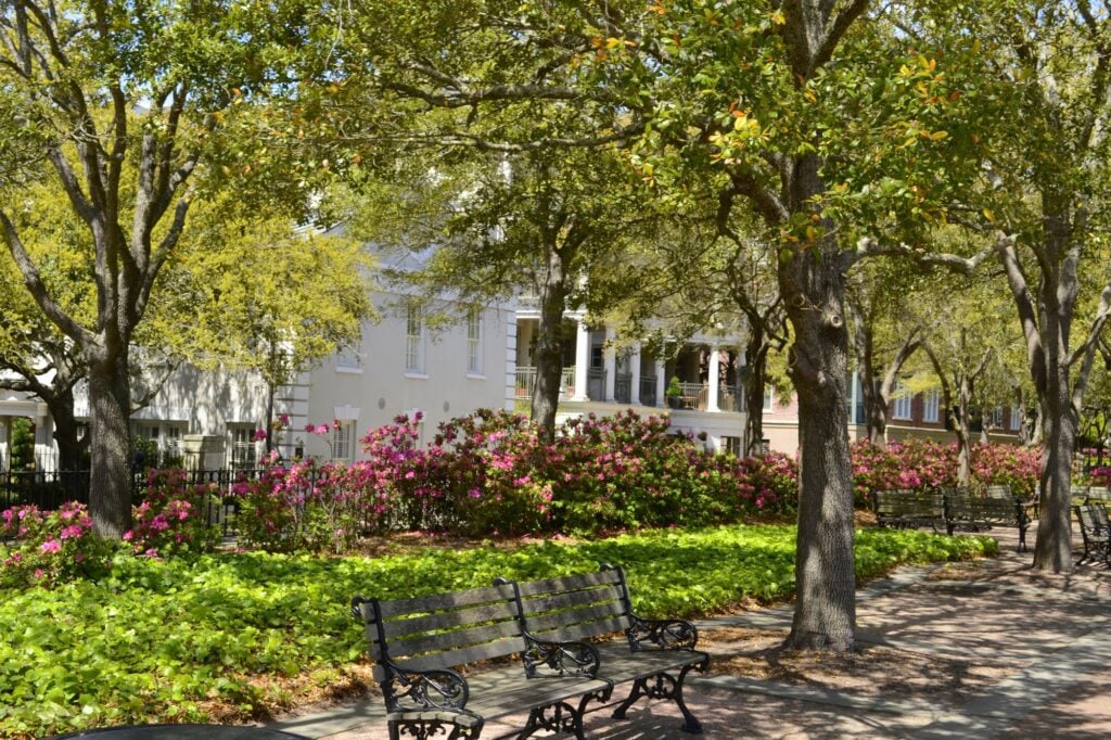 Pineapple Park Charleston SC